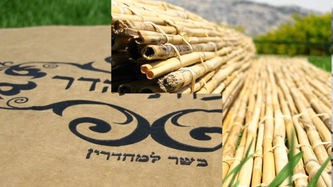 סוכה מוכנה למכירה - חייג 072-2133333