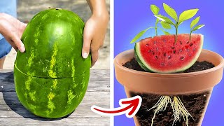 Gardening hacks for your indoor and outdoor plants