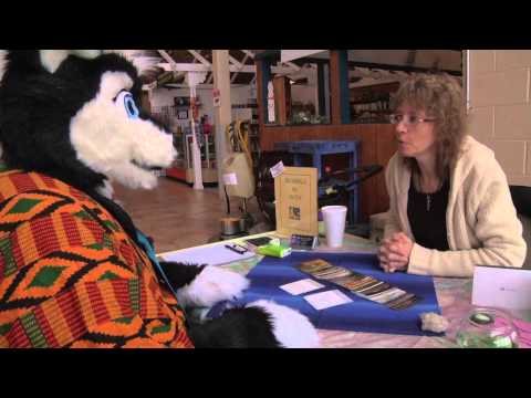 Skunky's Travels: Skunky visits All Seasons Marketplace in Erie PA