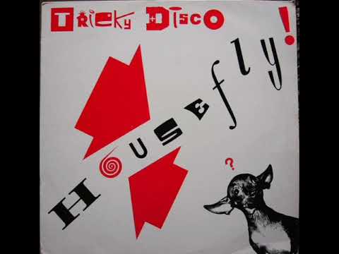 Tricky Disco - House Fly
