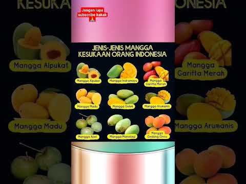 jenis-jenis mangga #education #shortsvideo #fruit #mangga #kesehatan #shortsviral #food #kesehatan