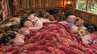 Ha Thi Muon's journey of love in a bamboo house shared with dogs and g