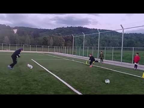 Miniatură video