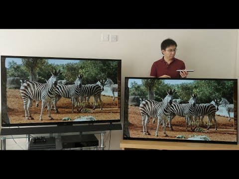 Panasonic FZ952 vs Sony AF9 (A9F) 2018 OLED TV Comparison