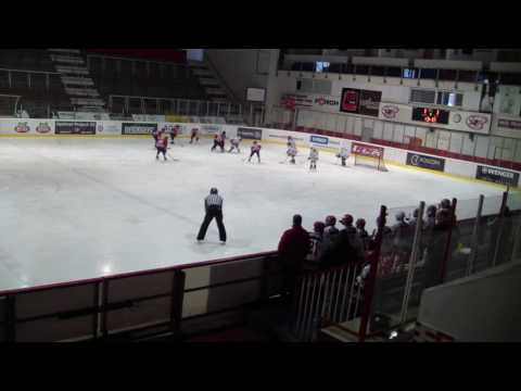 HC Slavia - Pardubice 13.11.2016