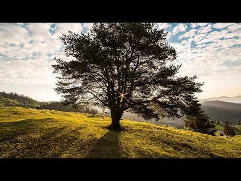 Muzyka Relaksacyjna - MUZYKA DO PRACY, NAUKI, KONCENTRACJI