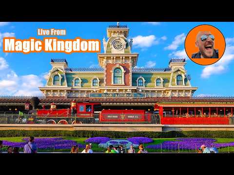 Live webcam of Theme Park Giant