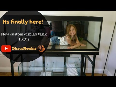 New custom aquarium! Discus Display tank