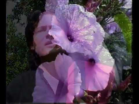 La flor de mi niña - Elvin Romero