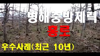 [사과재배] 탄저 방제 우수 사례(방제력)