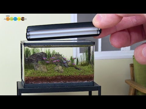 DIY Miniature Aquarium Fish Tank　ミニチュアアクアリウム水槽作り Video