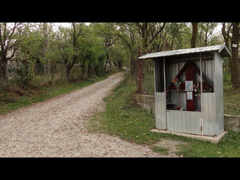 Sfarsit de Octombrie in Albinari [Aricestii Zeletin]