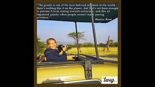 Wilderkids Podcast - Ep14: Giraffe Conservation - Wild Nature Institute