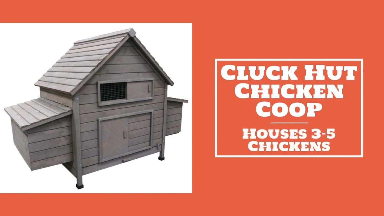 Video for Cluck Hut Chicken Coop (3-5 Chickens) Video for Cluck Hut Chicken Coop (3-5 Chickens)