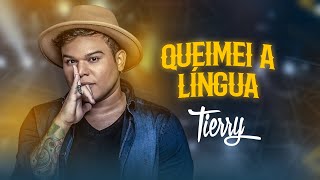 Queimei A Língua Lyrics English Translation