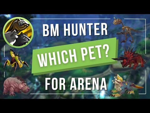 Beast Mastery Hunter - PvP Pet Guide || WoW The War Within