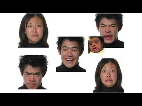Decoding Human Emotions: The Science of Facial Expression Analysis