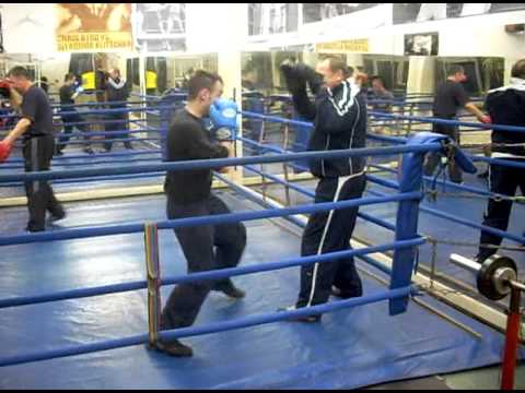 Boks Gwardia W-wa #4/4 hxs