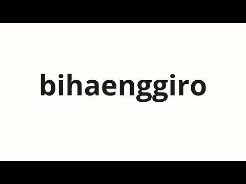 How to pronounce bihaenggiro | 비행기로 (by plane in Korean)