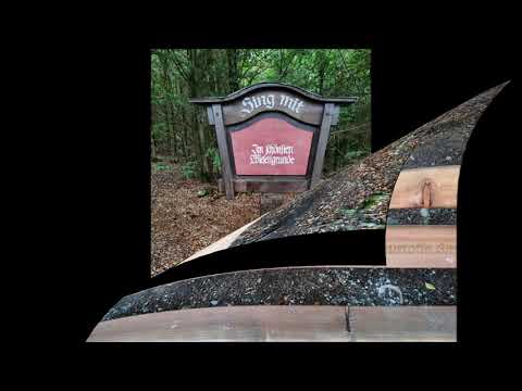 Josephskreuz und Lutherbuche (Wanderung Harz - 12 km -)