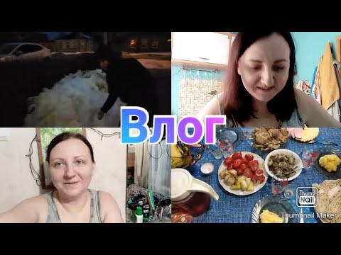 Насыщенный влог / Будни домохозяйки / разочарование в людях / День рождения мужа / Anika Z влог