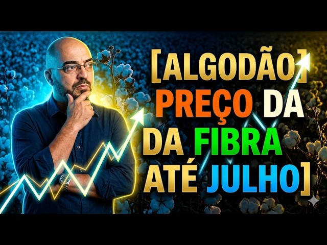 Algodão: O que esperar para o preço da fibra até julho?