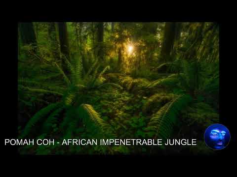 image-How old is Bwindi Impenetrable Forest?