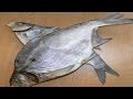 Как засолить рыбу ( леща ). | How to pickle fish (bream). 