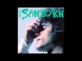 David Sanborn - Concrete Boogie (edit)