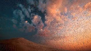 Desert of soul