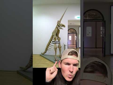 史上最悪の化石復元?🥴