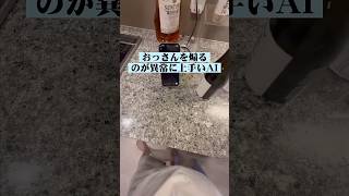 おじさんを煽るのが上手いAI育てました #chatgpt #ai育成 #こんびにこ #青春