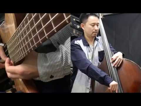 Fodera Bass / Double Bass , There will never be another you [Jazz standards series]