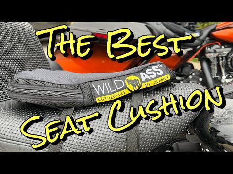 The BEST seat cushion on the market. #wildass #seatcushion