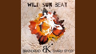 Sitting In The African Sun (Original Mix)