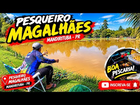 UM DIA DE MUITA PESCA EM MANDIRITUBA-PR ! Mais trajeto 