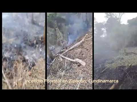 Continúa Incendio Forestal en Zipacón, Cundinamarca.
