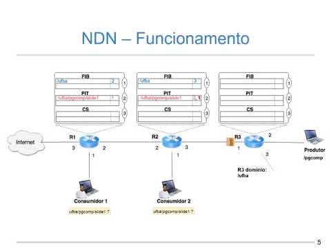 NDN Communication Process