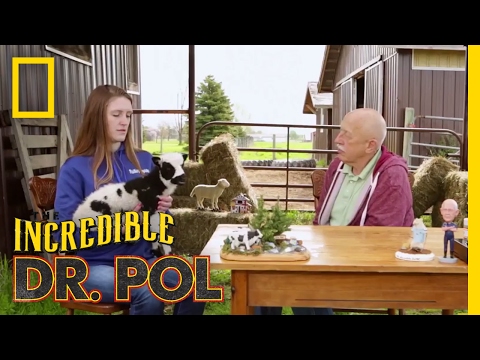 The Interrupting Sheep - Season 4, Episode 11 | Coffee Break with Dr. Pol