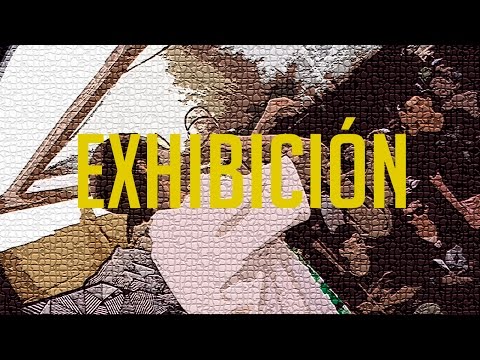 BDM San Felipe 2017 / Exhibición / Drose vs Drefquila