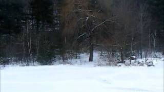 William Ackerman - The Impending Death of the Virgin Spirit