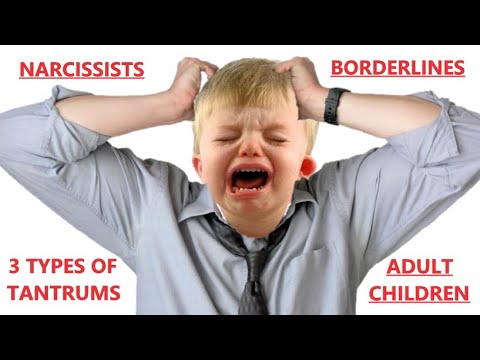 The Toxic Adult Temper Tantrum