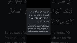 Download lagu Surah Ar-Rum Ayat 30 #shorts #fatihseferagic #quran mp3