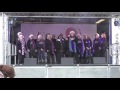 White Christmas Fareham Christmas Lights Nov 2015