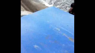 Download lagu OFF ROAD PASAMAN BARAT mp3 Download lagu OFF ROAD PASAMAN BARAT mp3