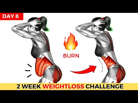 Do This 30 Min Everyday To Lose Weight Belly Fat 2 Weeks Shred Challenge DAY 1