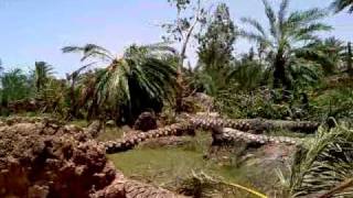 preview picture of video 'أثار اعصار بيت على الوافي بولاية الكامل والوافي cyclone Phet'