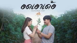 อดเอาเด้อ – วงฮำฮอน