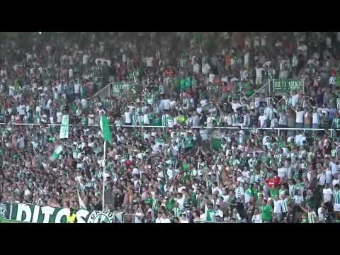 La BRUTAL GRADONA DE LOS MALDITOS DEL RACING DE SANTANDER