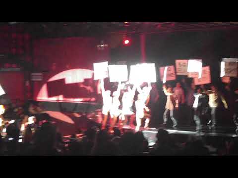 Calypso Ladyboy Show| Free Your Mind